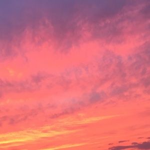 Meet your Posher, Zoe